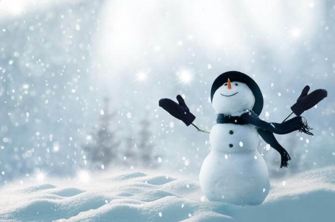 An image of a snowman in a field to illustrate the concept of Eskimo words for snow.