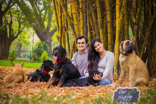 These are Bengaluru-based Aditya Raheja and Sanjana Madappa with their many, many cutie doggos.