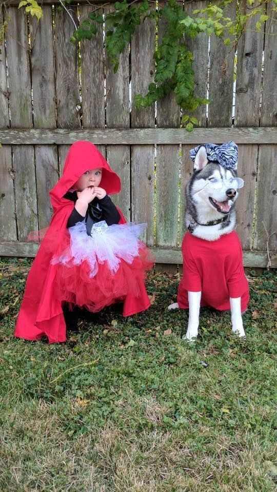 They'll play dress-up with you when you want to go trick-or-treating.