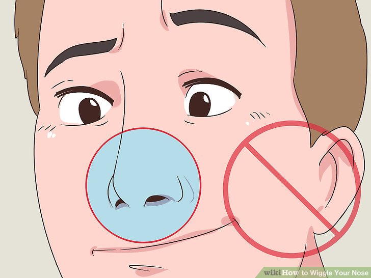 Wiggle Your Nose Step 4.jpg