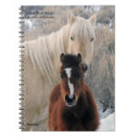Kahlua and Avocet from Sand Wash Basin Notebook