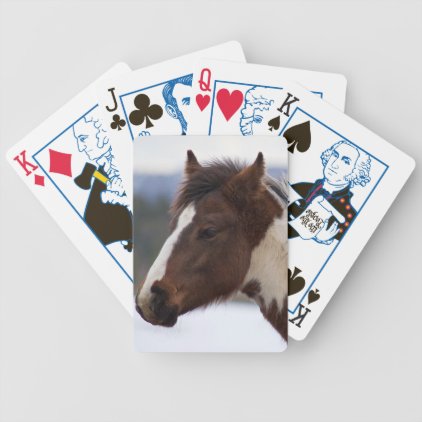 Tri-Colored Horse Bicycle Playing Cards