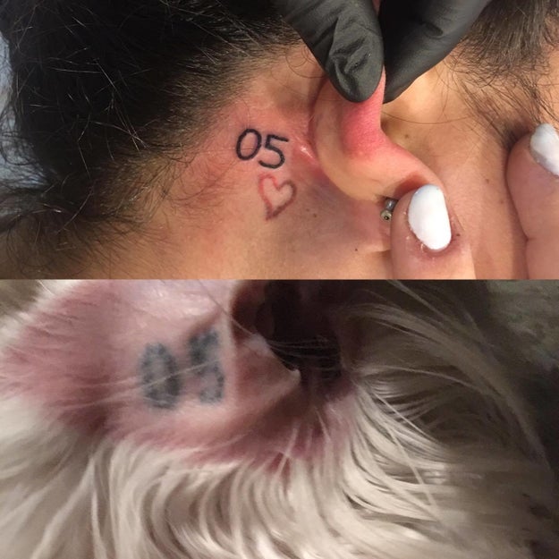 So to celebrate their bond, Vanessa got a tattoo to match the one a previous owner put on Toby's ear.