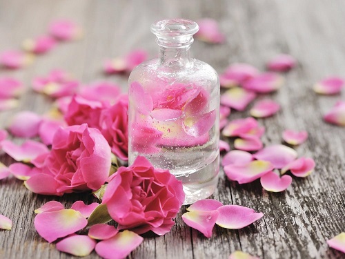 Tinh chất nước hoa hồng có nhiều công dụng làm đẹp da