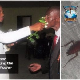 Penuel Mnguni: Pastor Feeds Worshipers Cockroach And Poisonous Flower