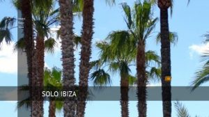 Hostal Raco Ibiza, opiniones y reserva