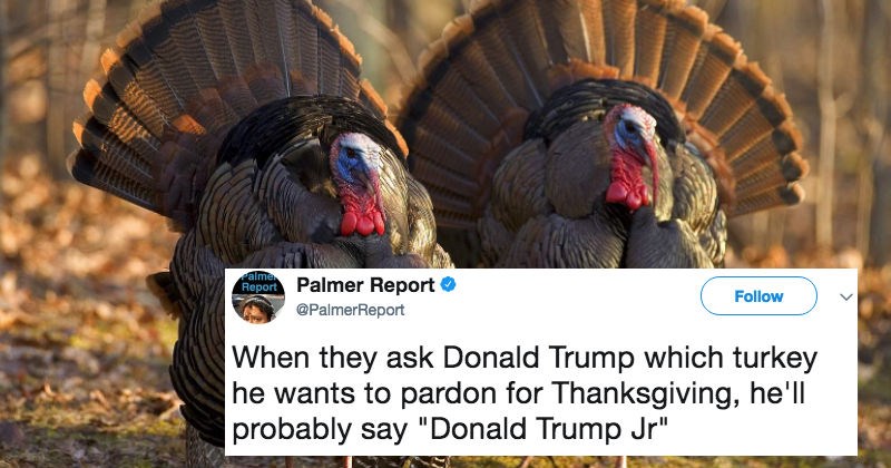 Trump's two turkey names that were shared on Twitter are already getting roasted.