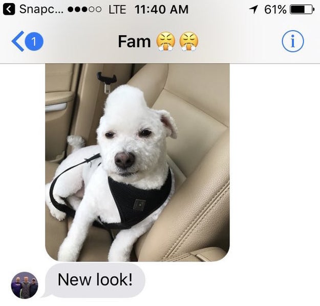 Jody gave Cooper a doggie mohawk — or tried to. He sent this photo of their dog to the entire family afterward.