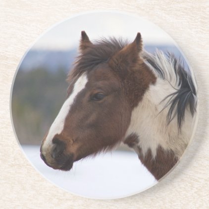 Tri-Colored Horse Sandstone Coaster