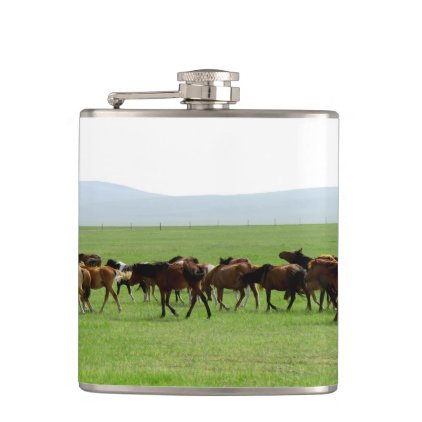 Horses on Pasture - Landscape Photograph Flask