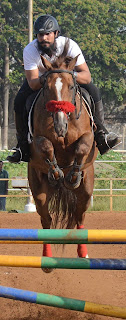 Randeep Hooda’s ‘broken’ horse wins him medals