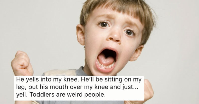 Parents share the most WTF things that their kids have ever done.