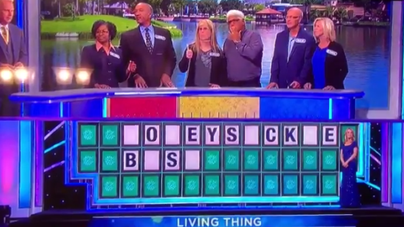 WoW,game show,wheel of fortune,FAIL