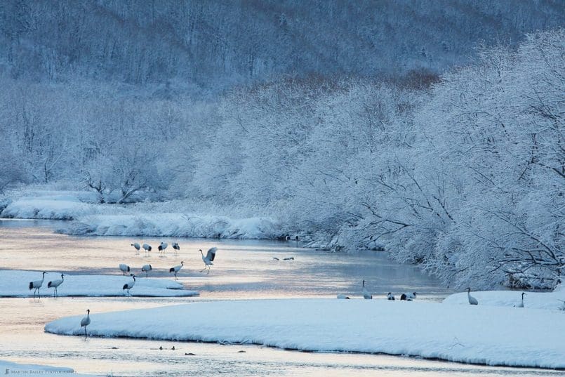 Snowy Morning at Setsuri River