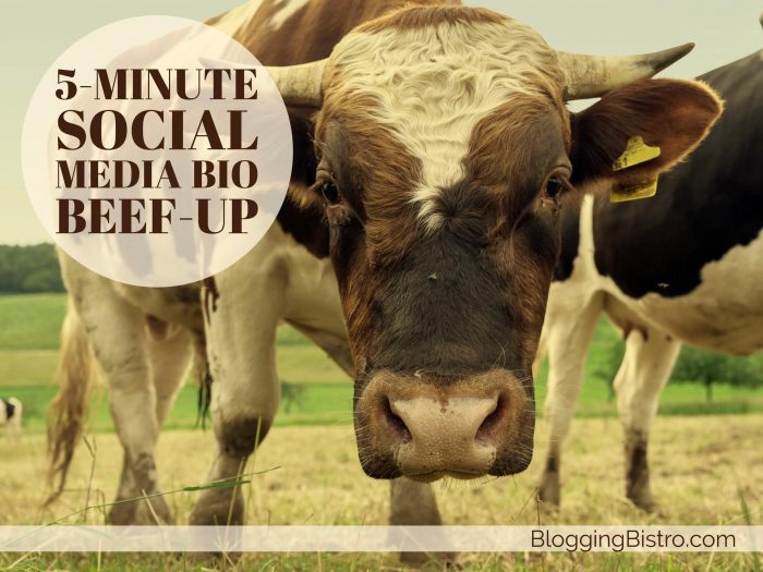 The 5-minute social media bio beef-up | BloggingBistro.com