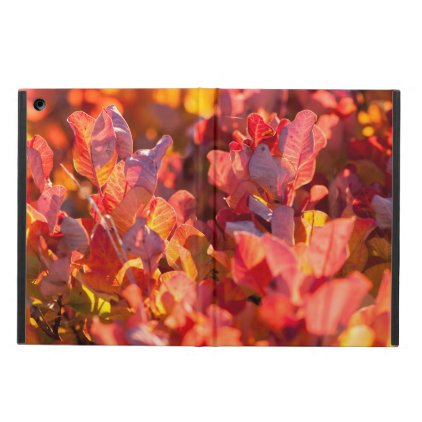 Red autumn leaves iPad air cases