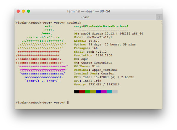 Fig.01: neofetch running on macOS