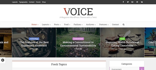 Voice-WordPress-theme-live-preview