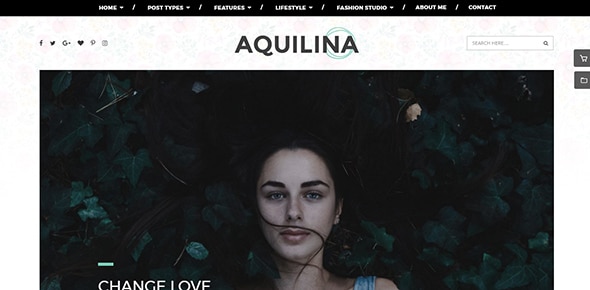 Aquilina-–-Responsive-and-Multipurpose-WordPress-Blog-Theme