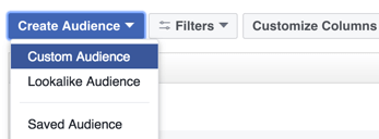 Click the option to create a Facebook custom audience.