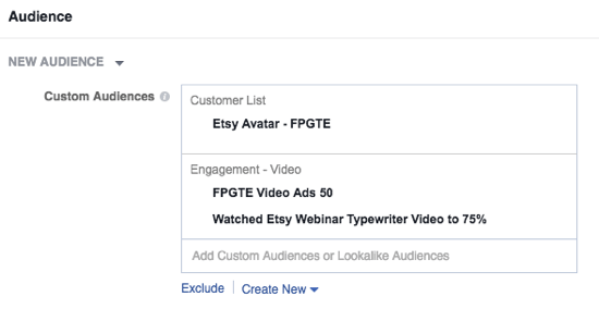 Select your Facebook custom audience and set your budget.