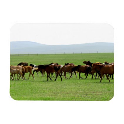 Horses on Pasture - Landscape Photograph Magnet
