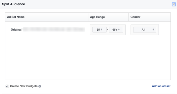 Select an age range and gender for your split audience.