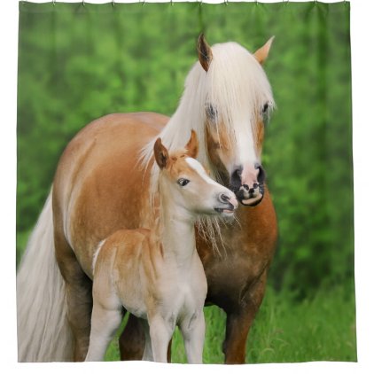 Haflinger Horses Cute Foal Kiss Mum Photo - Tub Shower Curtain