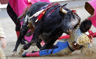 Young bullfighter gored by giant bull