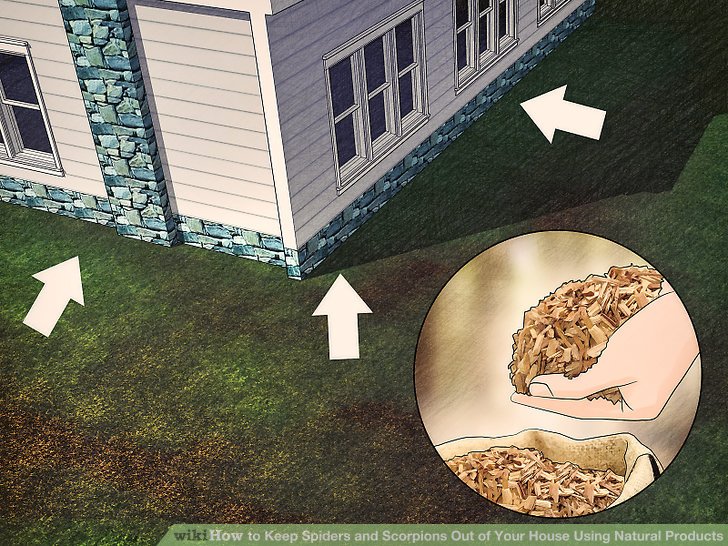 Keep Spiders and Scorpions Out of Your House Using Natural Products Step 12.jpg