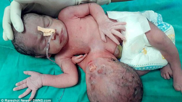 Baby Born Additional Head Attached Stomach