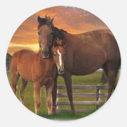 Horse and pony classic round sticker