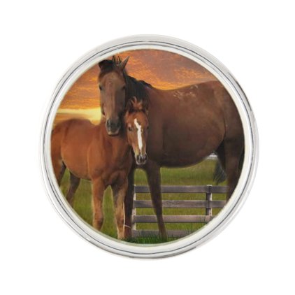Horse and pony pin