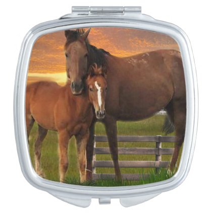Horse and pony makeup mirror