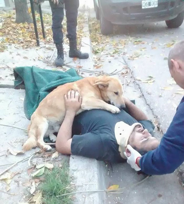 dog-refuses-leave-hugs-injured-owner-tony-argentina-1a