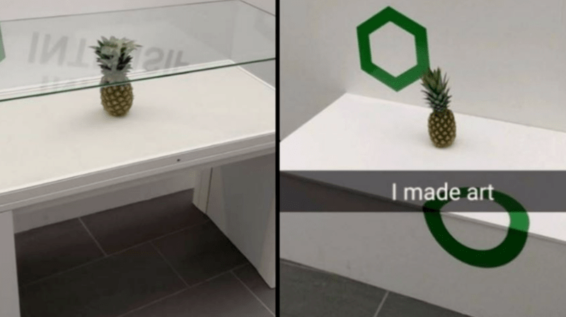 Picture of pineapple being mistaken for art in exhibition.