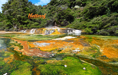 Traveling Rotorua – The Best Place In Rotorua New Zealand – Site Title