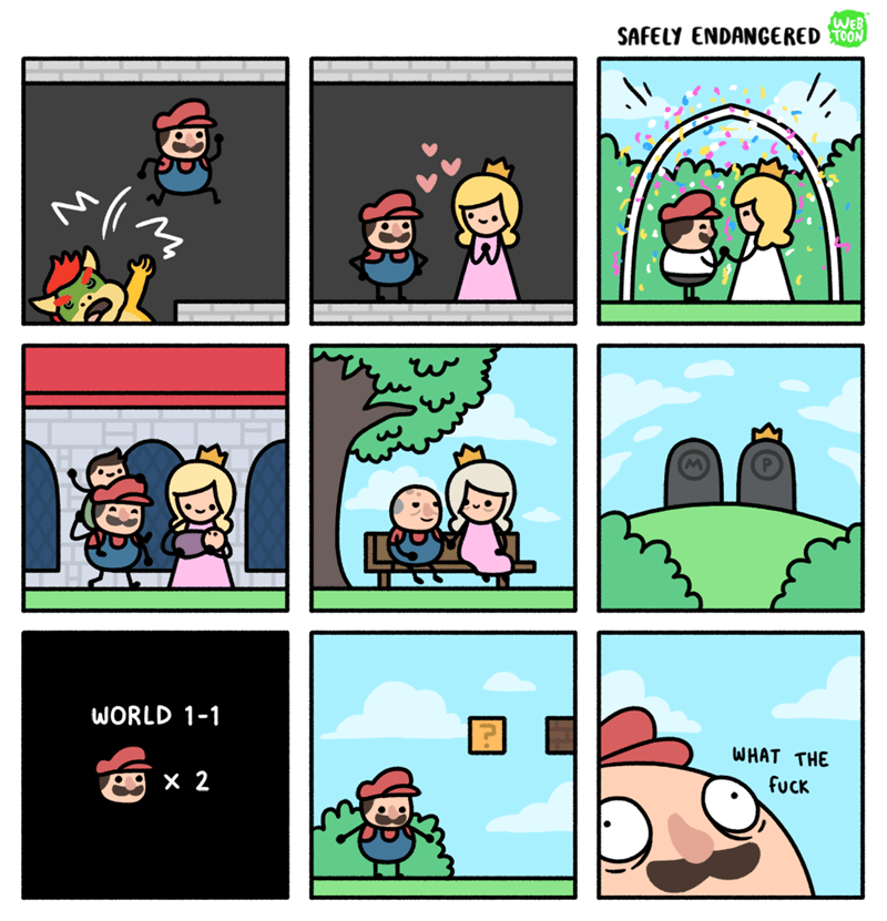 Super Mario bros,web comics