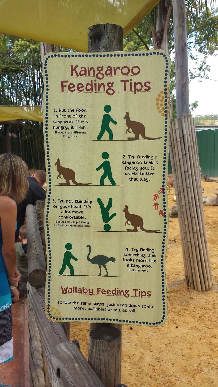 Funny Zoo Sign