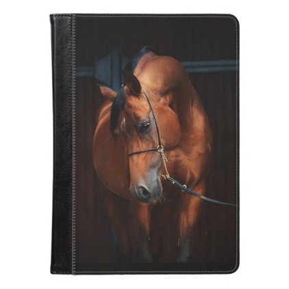 horse collection. arabian bay iPad air case