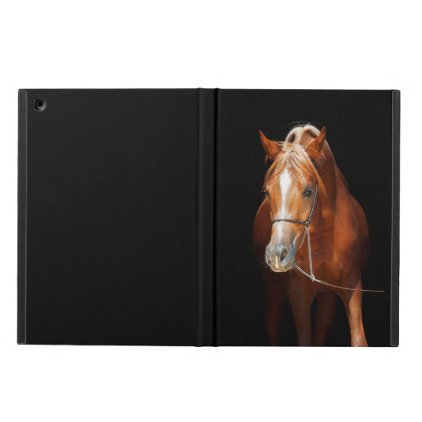 horse collection. arabian red iPad air cases