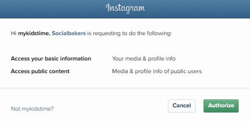 Authorize Socialbakers to access your Instagram account information.
