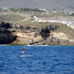 Fotos de Tenerife, paddle surf