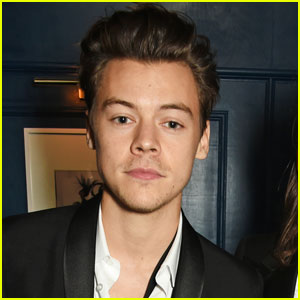 Harry Styles Says Gay Rights Are 'Fundamental' Not 'Political'