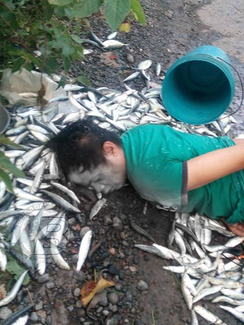 BREAKING NEWS: An Innocent Fisherman Was Affected By the Clash Between the AFP and the NPA in Davao!