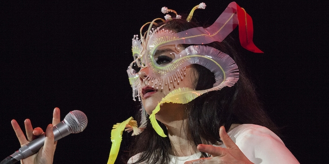 Björk Announces Career-Spanning Songbook 34 Scores