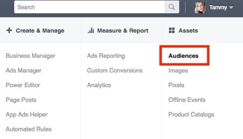 Go to the Audiences section of Facebook Ads Manager.