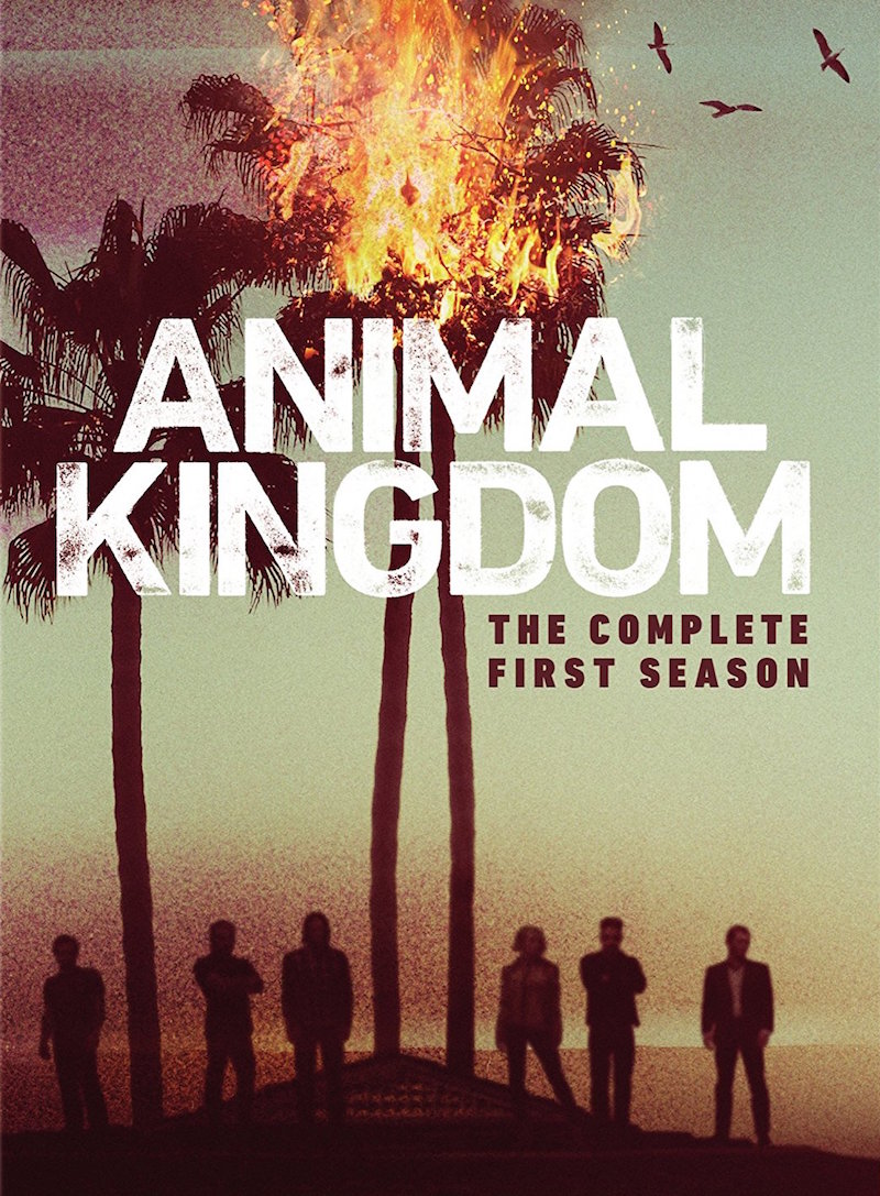 Animal Kingdom: Season One
