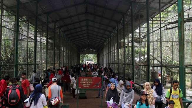 Warga berkunjung ke Kebun Binatang Ragunan, Jakarta, Sabtu (15/4).