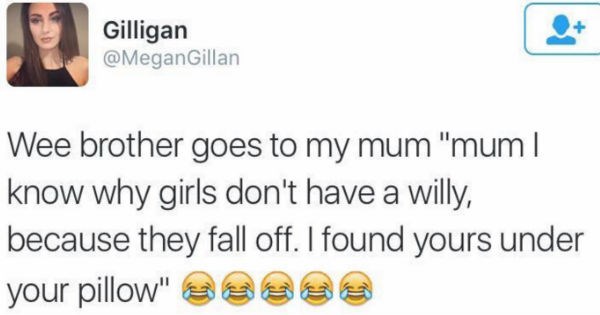 Funny pictures and tweets that reflect the amazing humor of Scotland - Cover image of tweet regarding little brother finding Mum's willy under her bed.